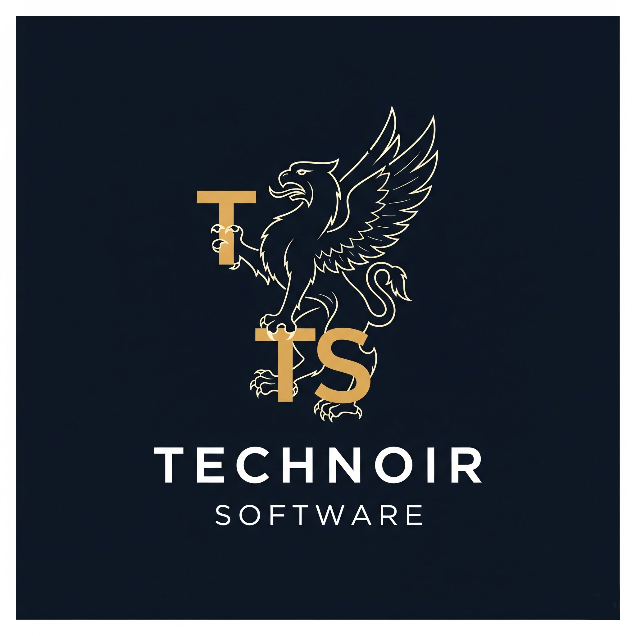 Technoir Software logo